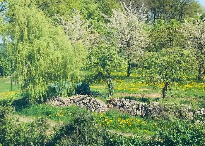 Marienwarder Lehmkuhlen